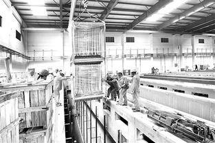 當現(xiàn)代工程邂逅歷史回響 福建最大污水處理廠的膜處理提升與文物保護設(shè)計